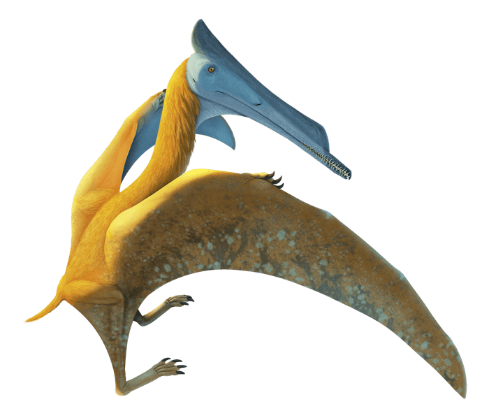 Elanodactylus