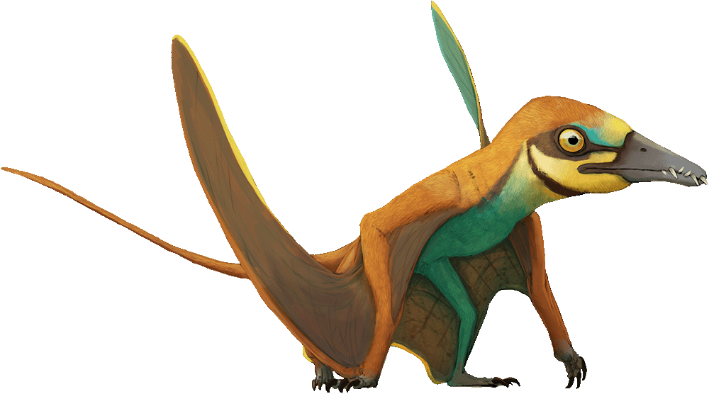 Arcticodactylus preparing to fly