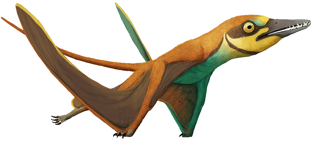 Arcticodactylus launching into the air