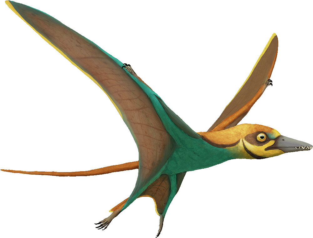 Arcticodactylus in flight