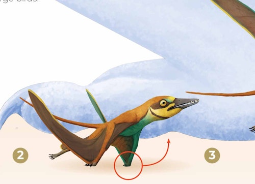 Illustration of Getting into the air