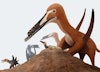 Growing up pterosaur