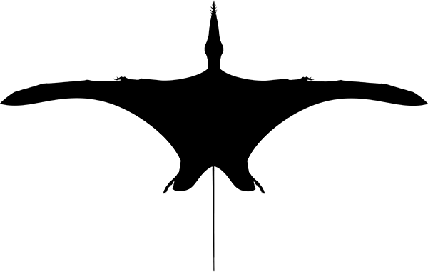Pterosaur silhouette #AD , #AFFILIATE, #AFF, #silhouette, #Pterosaur