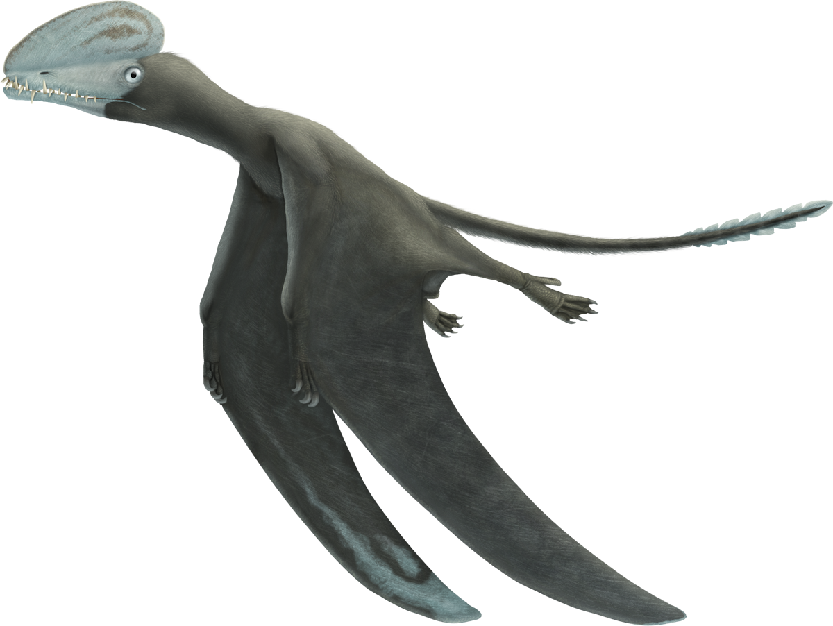 Harpactognathus