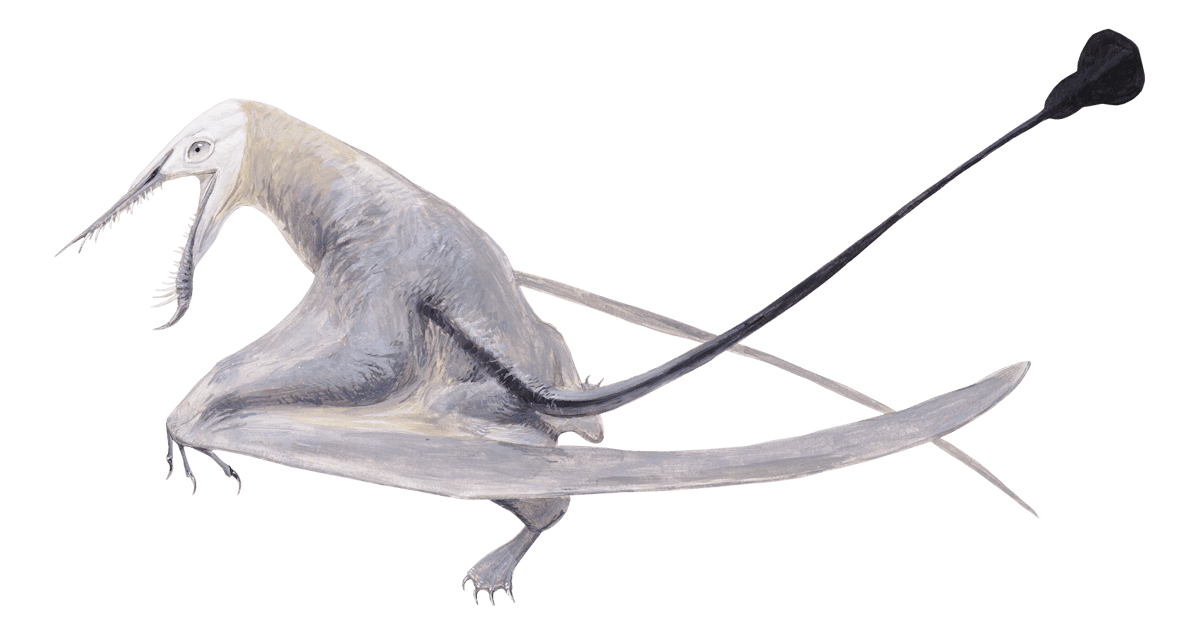 Klobiodon