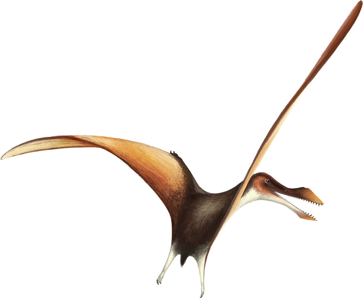 Lonchodraco