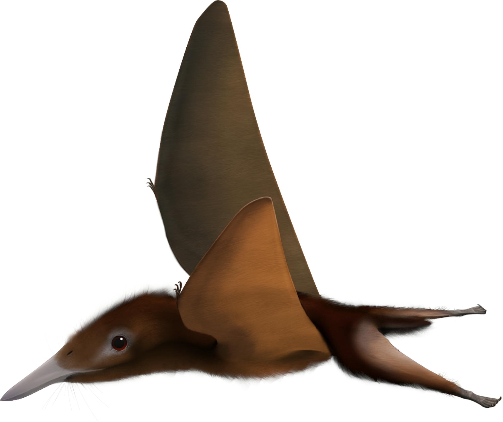 Large pterosaurs were better parents than their smaller, earlier