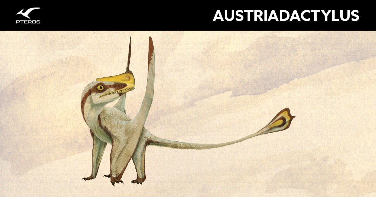 austriadactylus.jpg