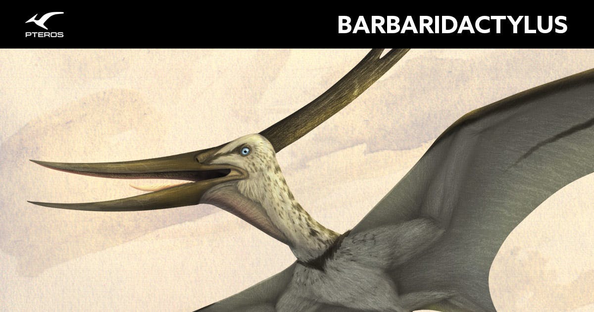 Barbaridactylus Pteros