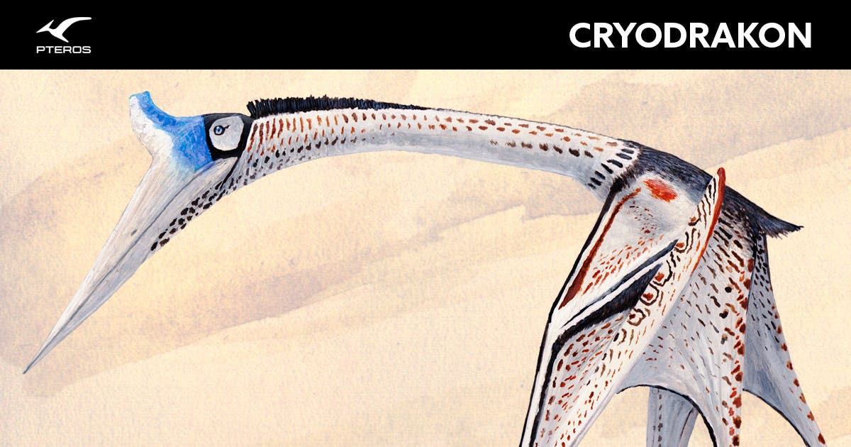 Cryodrakon Pteros