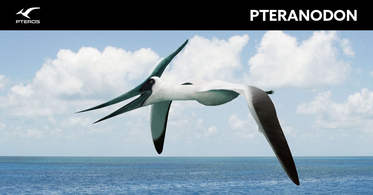 Pterodactyl Or Pteranodon Flying Over The Ocean Stock Photo, Picture and  Royalty Free Image. Image 9183984.