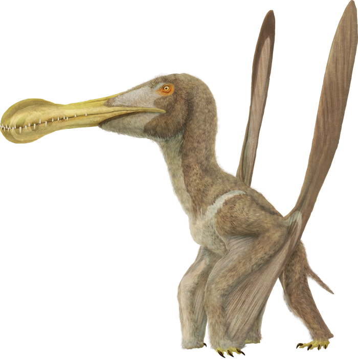 Illustration by Fabrizio De Rossi