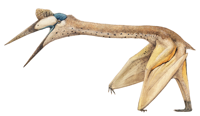 Quetzalcoatlus