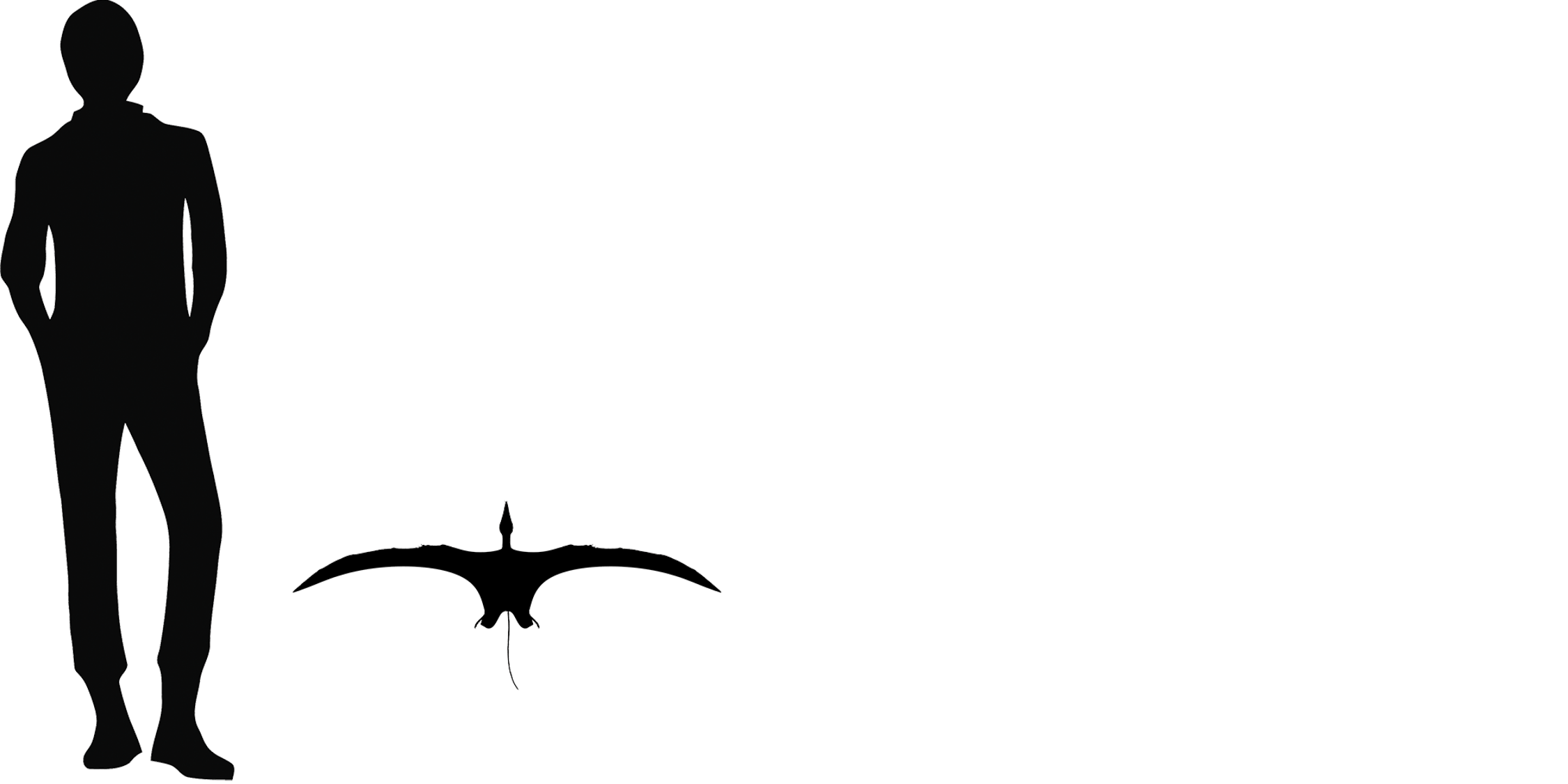 eudimorphodon