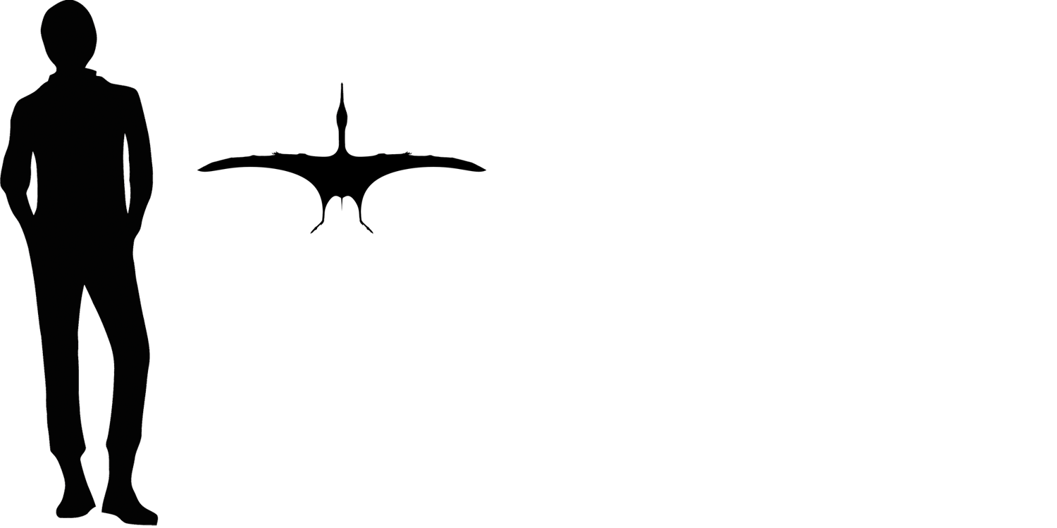 Pterodactylus Pteros