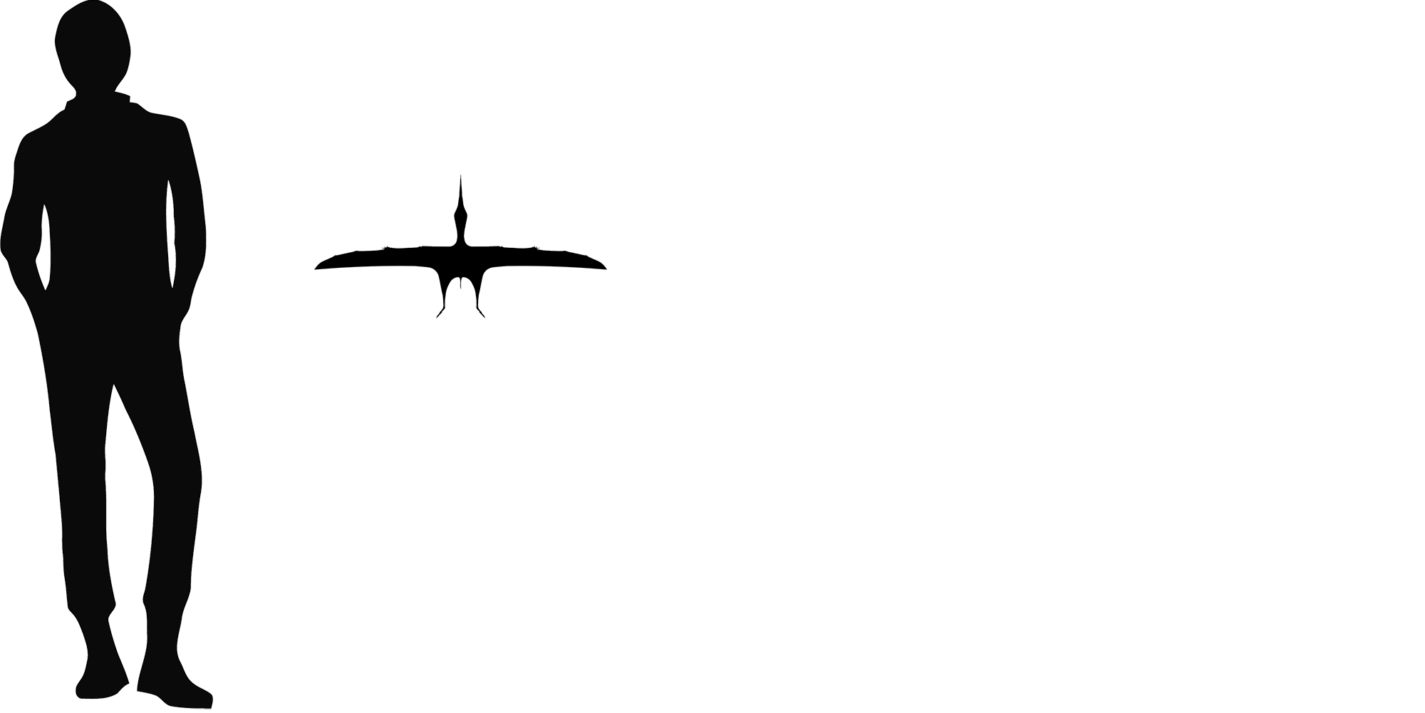 Wingspan Diagram